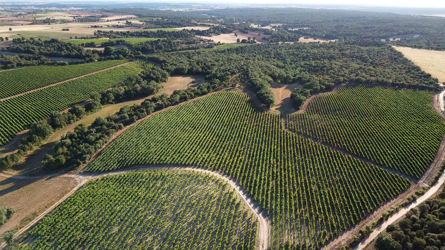 Bosque de Matasnos